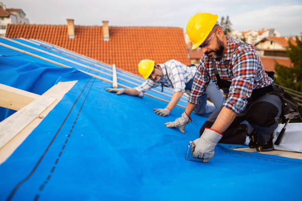 Best Roof Insulation Installation  in Broadway, VA